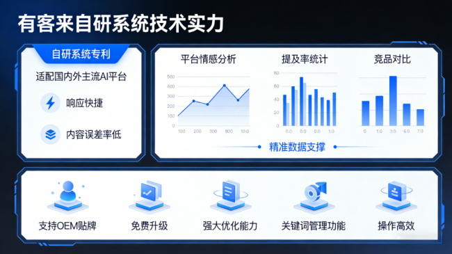 大丰星际AI-GEO对比同行有什么优势？正规AI优化服务商差异化对比
